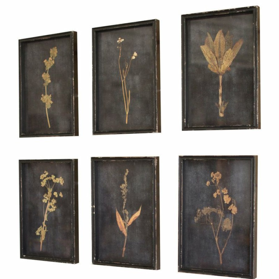 Outdoor Decor * New Kalalou, Inc. Botanical Prints Under Glass, Set Of 6