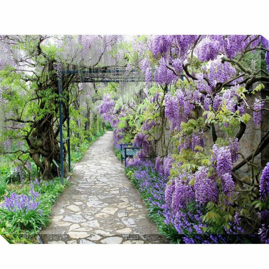 Outdoor Decor * Best Deal West Of The Wind Wisteria Path Outdoor Art, 40 30