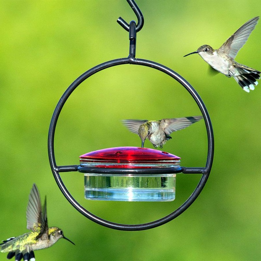 Outdoor Decor * Best Deal Mosaic Birds Hummble Slim Hummingbird Feeder