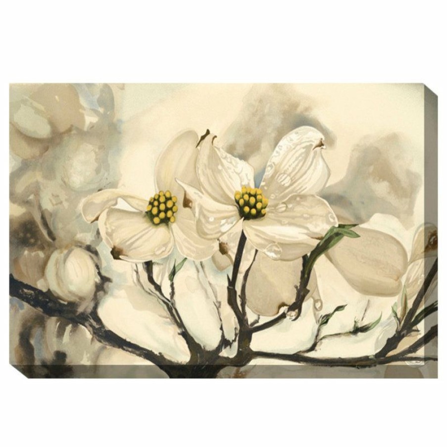 Outdoor Decor * Top 10 West Of The Wind Dogwood Watercolor Outdoor Art