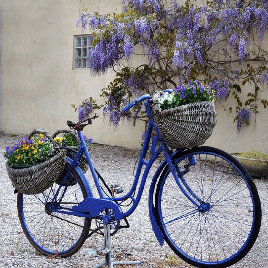 Outdoor Decor * Top 10 West Of The Wind Blue Bike Outdoor Art